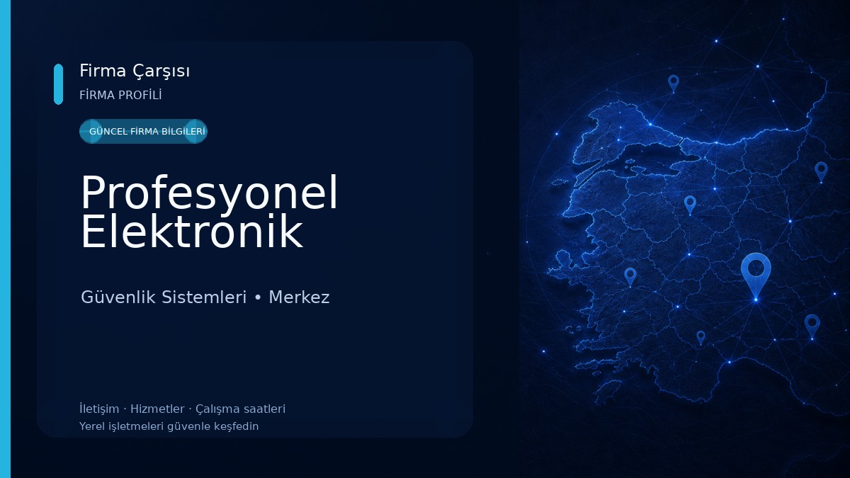 Profesyonel Elektronik